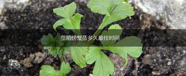 蒸箱螃蟹蒸多久最佳时间,第1张