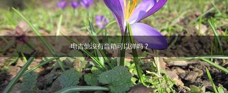 电吉他没有音箱可以弹吗？,第1张