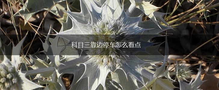 科目三靠边停车怎么看点,第1张