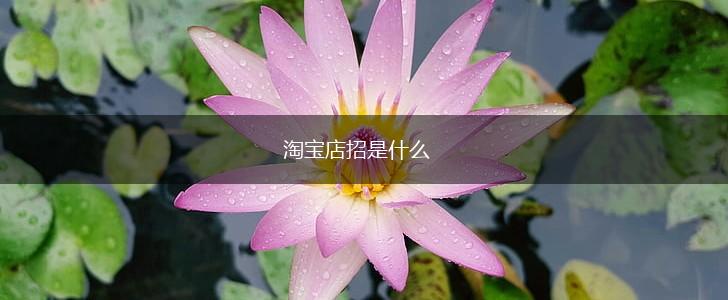 淘宝店招是什么,第1张