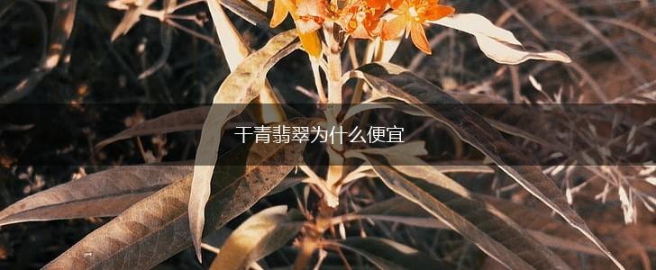干青翡翠为什么便宜,第1张