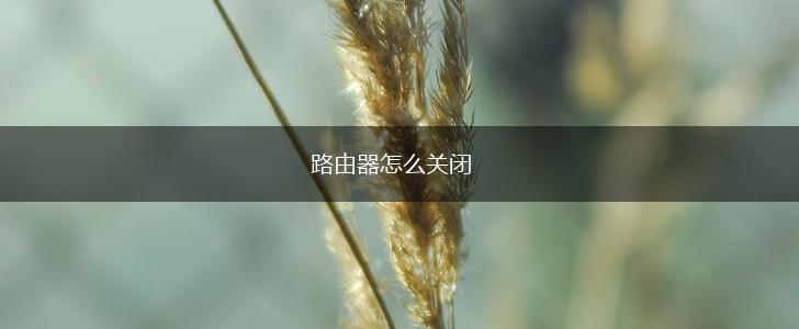 路由器怎么关闭,第1张