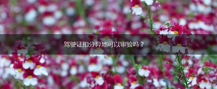 驾驶证扣分异地可以审验吗？,第1张
