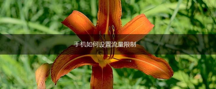 手机如何设置流量限制,第1张
