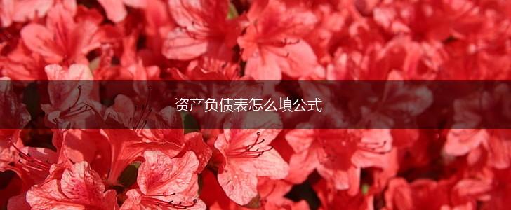 资产负债表怎么填公式,第1张