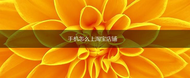 手机怎么上淘宝店铺,第1张