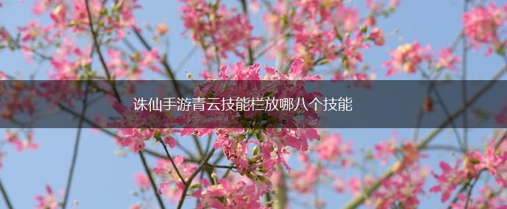 诛仙手游青云技能栏放哪八个技能,第1张