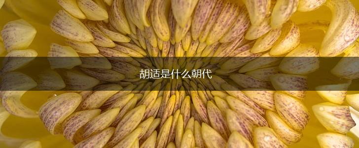 胡适是什么朝代,第1张
