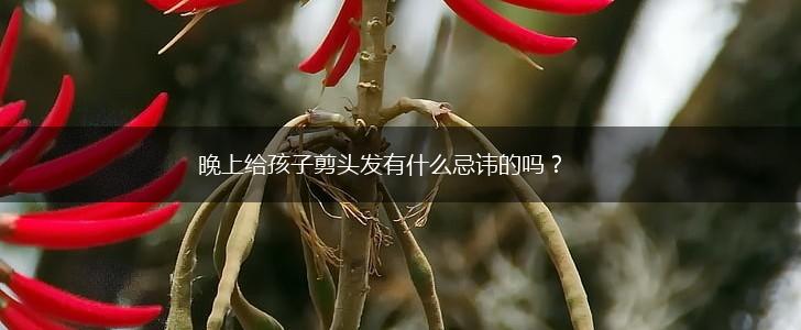 晚上给孩子剪头发有什么忌讳的吗？,第1张