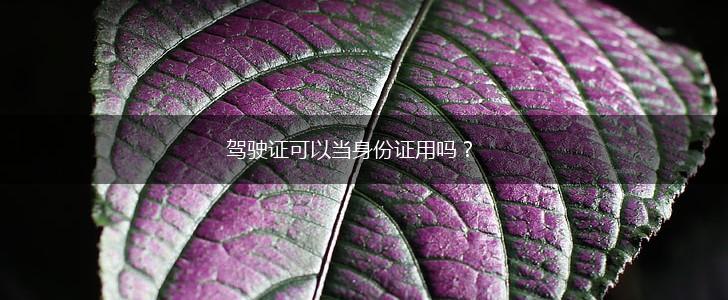 驾驶证可以当身份证用吗？,第1张