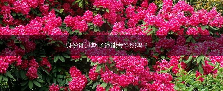 身份证过期了还能考驾照吗？,第1张