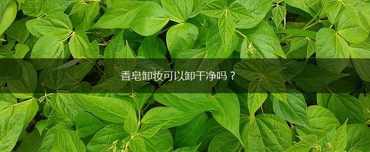 香皂卸妆可以卸干净吗？,第1张