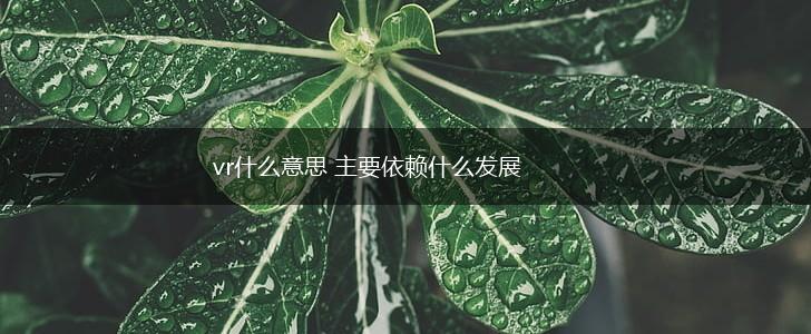 vr什么意思 主要依赖什么发展,第1张 vr什么意思 主要依赖什么发展,第1张