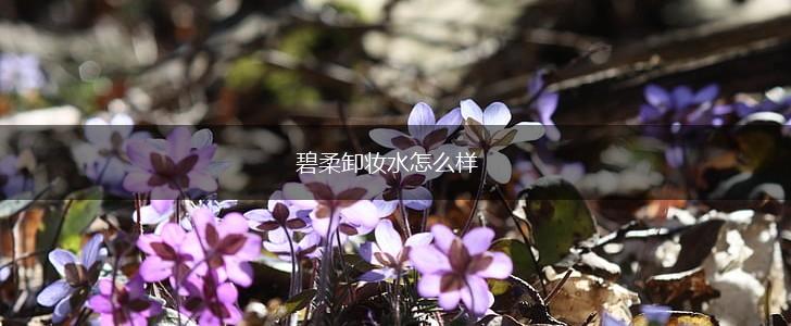 碧柔卸妆水怎么样,第1张