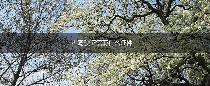 考驾驶证需要什么证件,第1张