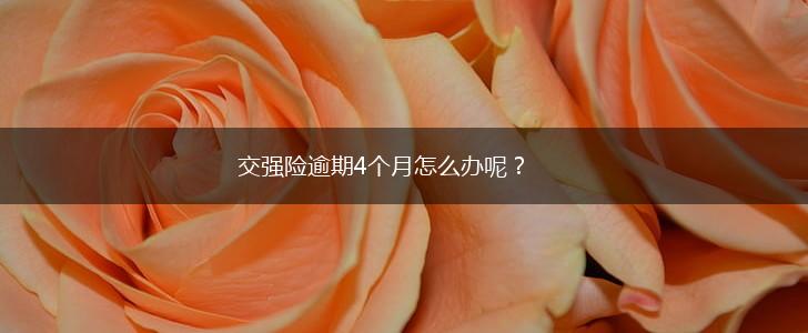 交强险逾期4个月怎么办呢？,第1张
