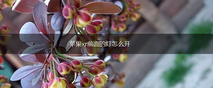 苹果xr前面的灯怎么开,第1张