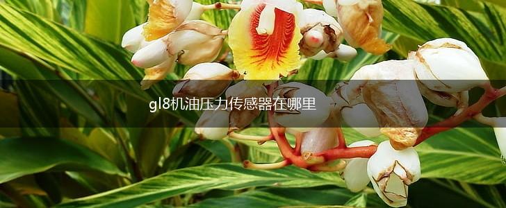 gl8机油压力传感器在哪里,第1张