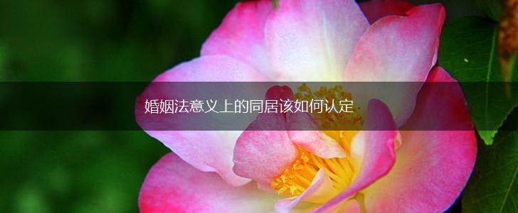 婚姻法意义上的同居该如何认定,第1张 婚姻法意义上的同居该如何认定,第1张