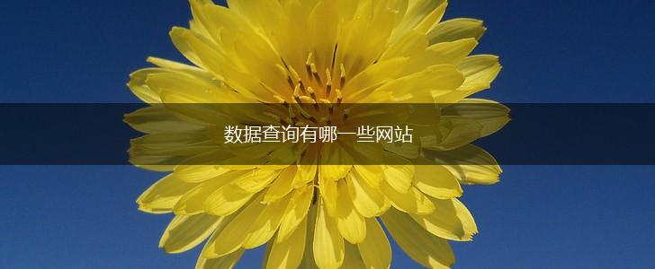 数据查询有哪一些网站,第1张