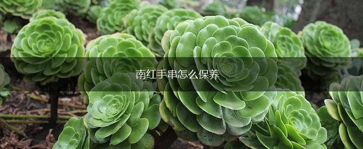南红手串怎么保养,第1张