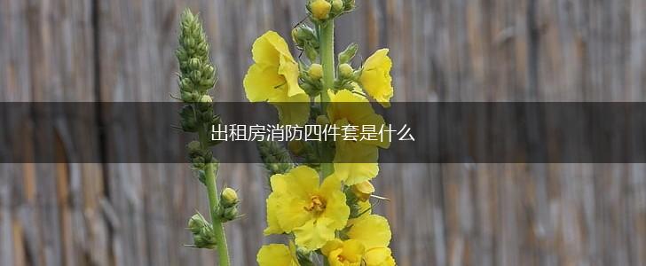 出租房消防四件套是什么,第1张
