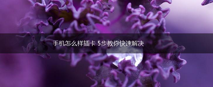 手机怎么样插卡 5步教你快速解决,第1张