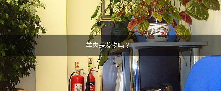 羊肉是发物吗？,第1张