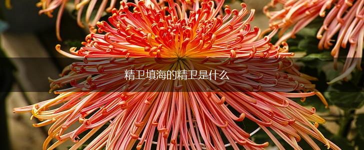 精卫填海的精卫是什么,第1张