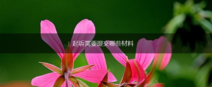 起诉需要提交哪些材料,第1张