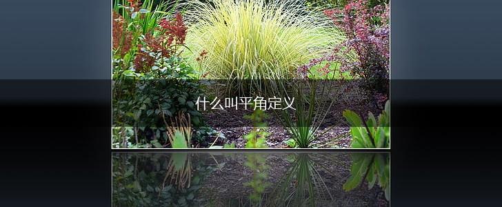 什么叫平角定义,第1张