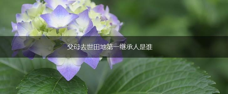父母去世田地第一继承人是谁,第1张