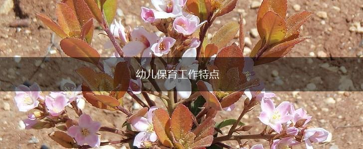 幼儿保育工作特点,第1张