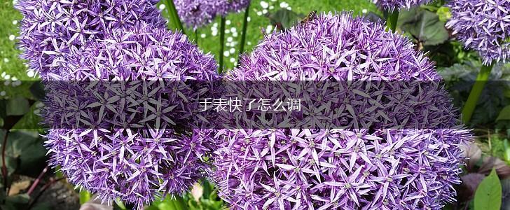 手表快了怎么调,第1张