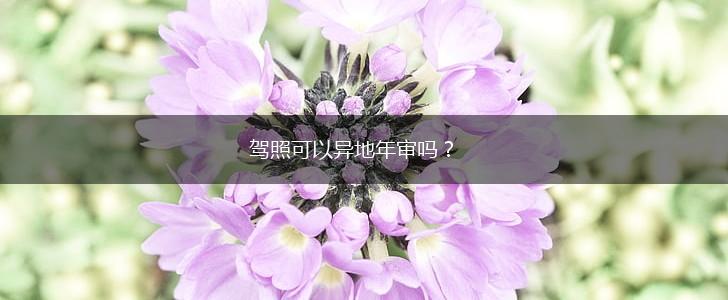 驾照可以异地年审吗？,第1张