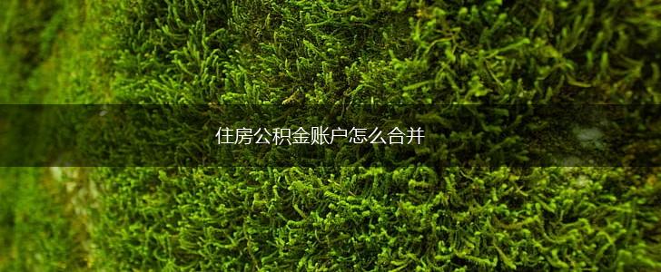 住房公积金账户怎么合并,第1张
