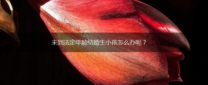 未到法定年龄结婚生小孩怎么办呢？,第1张