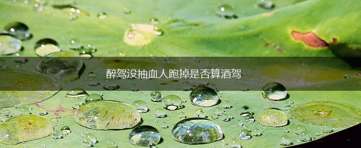 醉驾没抽血人跑掉是否算酒驾,第1张