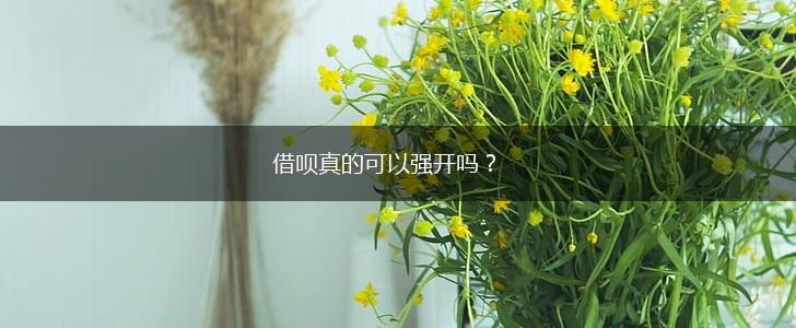 借呗真的可以强开吗？,第1张