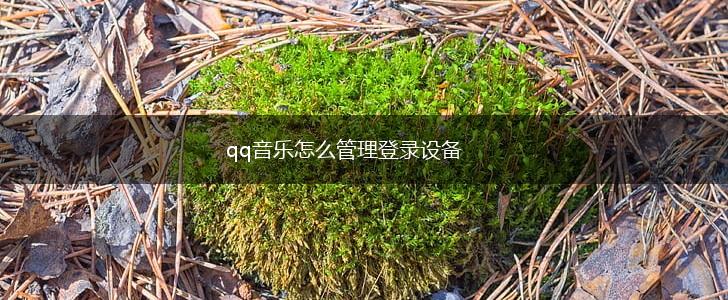 qq音乐怎么管理登录设备,第1张