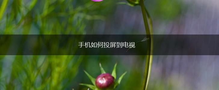 手机如何投屏到电视,第1张