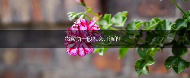 微粒贷一般怎么开通的,第1张