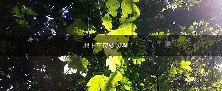 地下车位要买吗？,第1张