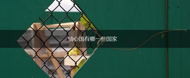 轴心国有哪一些国家,第1张