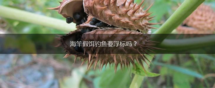 海竿假饵钓鱼要浮标吗？,第1张