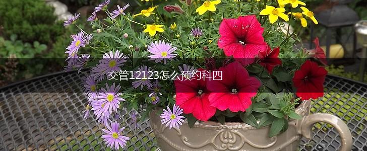 交管12123怎么预约科四,第1张