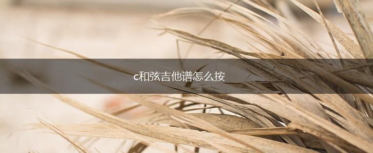 c和弦吉他谱怎么按,第1张