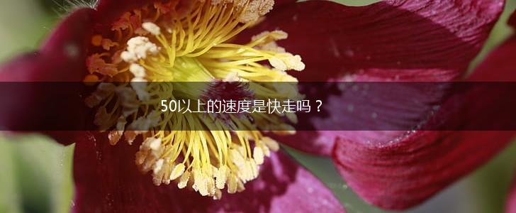 50以上的速度是快走吗？,第1张