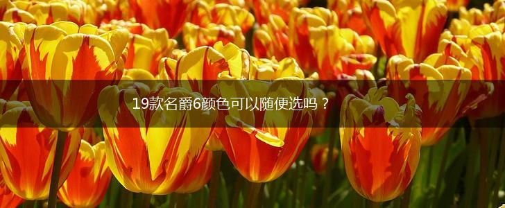 19款名爵6颜色可以随便选吗？,第1张