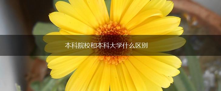 本科院校和本科大学什么区别,第1张